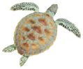 Turtleback Turtle Icon Image